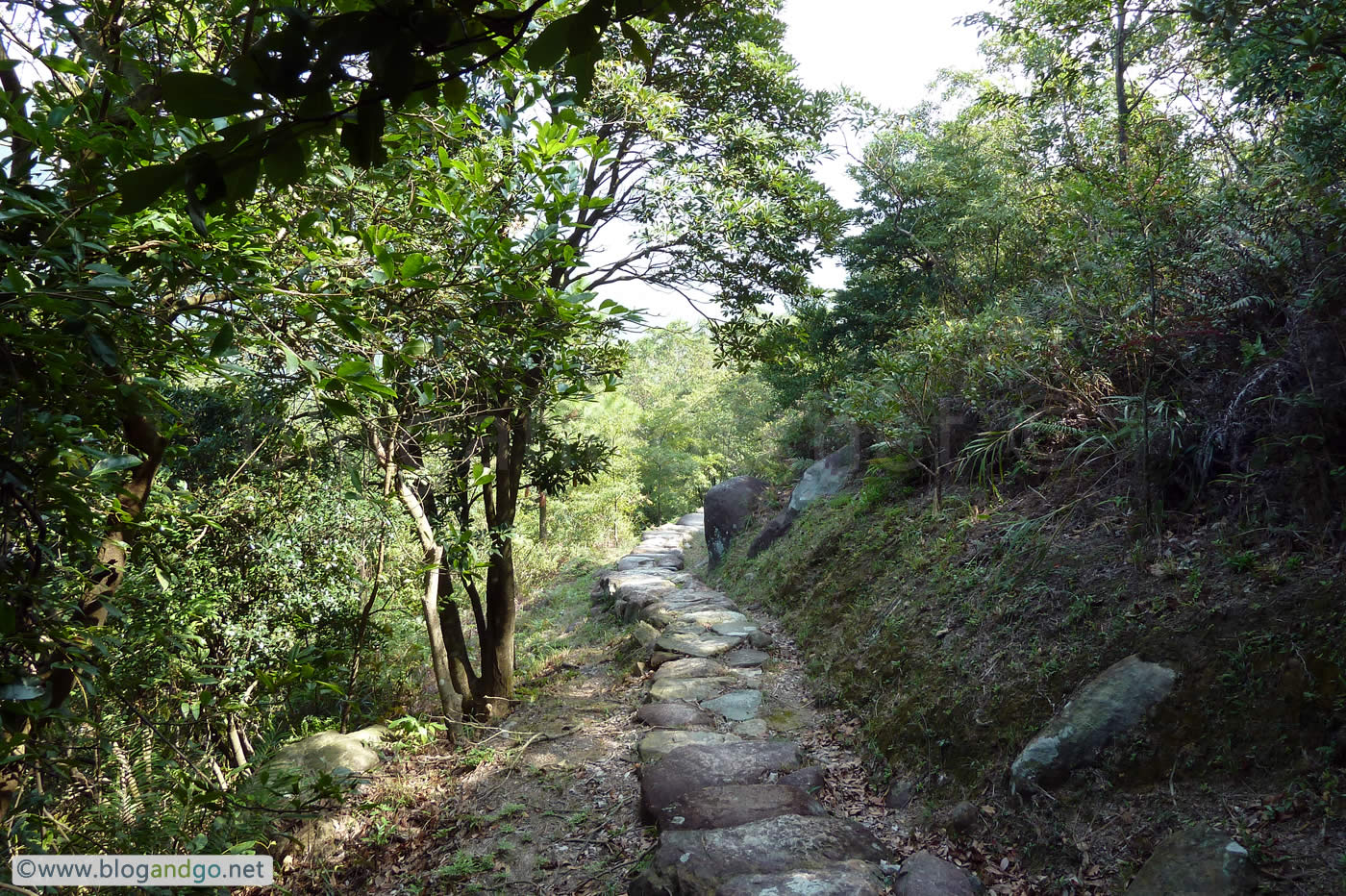 Early shade on Launtau Trail stage 5